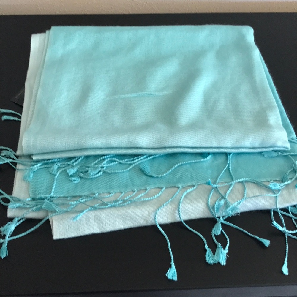 Express cashmere/silk scarf